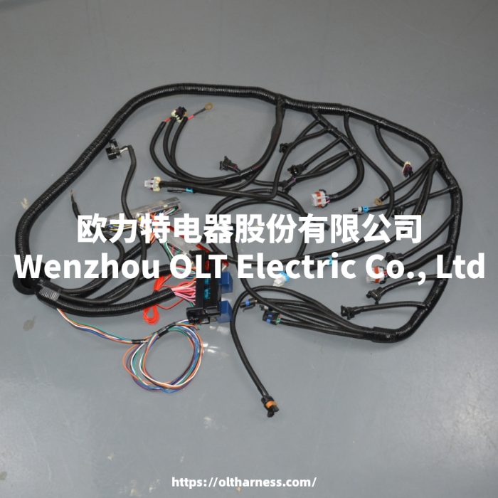 1200主图 T56 DBC LS1 97-06 Full vehicle wiring harness T56 DBC universal T56 manual transmission circuit wiring harness - Image 1