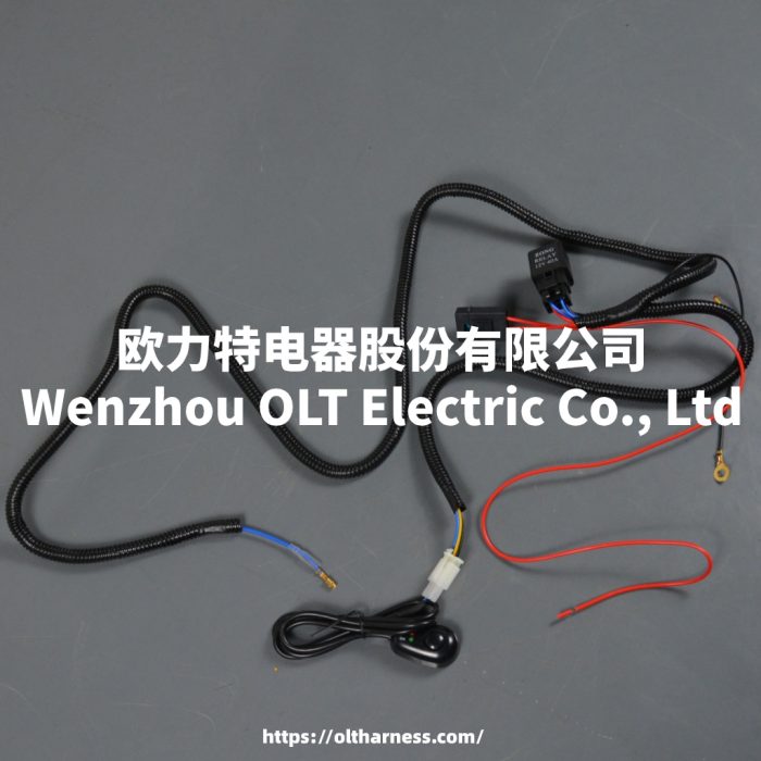雾灯线束主图 Fog lamp wiring harness Equipped with relays and high current fuses, safe and reliable - Image 1
