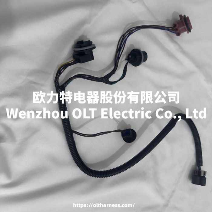 22787445 AC Delco taillight harness light for Chevrolet Suburban Tahoe 1500 - Image 4