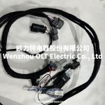 K20 K24 K-Swap conversion harness suitable for EG Civic (92-95) and DC2 Integra - Image 4