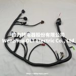 E49166000149 BJ491EQ1 car wiring harness - Image 2