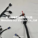 E49166000149 BJ491EQ1 car wiring harness - Image 3