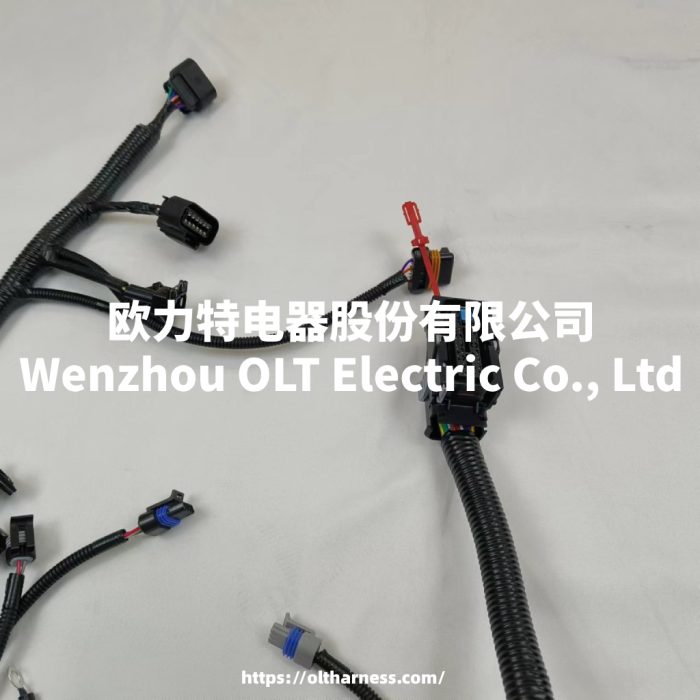 E49166000149 BJ491EQ1 car wiring harness - Image 3