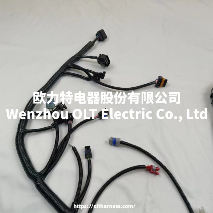 E49166000149 BJ491EQ1 car wiring harness - Image 4