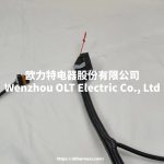 E49166000149 BJ491EQ1 car wiring harness - Image 5