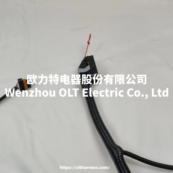 E49166000149 BJ491EQ1 car wiring harness - Image 5