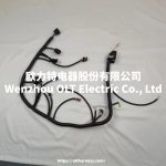 E49166000149 BJ491EQ1 car wiring harness