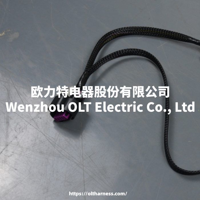 Transmission wire harness adapter for VSS LS1 LM7 LQ4 5.3 LSX LS - Image 4