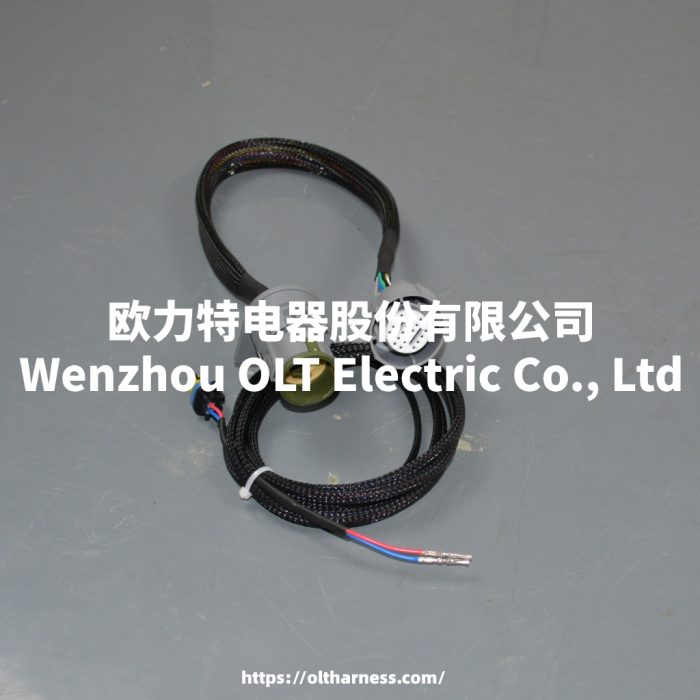 Transmission line adapter harness 18 VSS LS1 LM7 LQ4 5.3 4L60E to 4L80E - Image 3