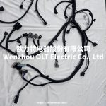 9L2T-12B637-B6EJ0 BA Ford Wiring Harness - Image 4