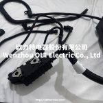 20476263/21625041 FOR VOLVO FH FM Cable harness DT Spare Parts 2.76441 Cable harness Motor - Image 4