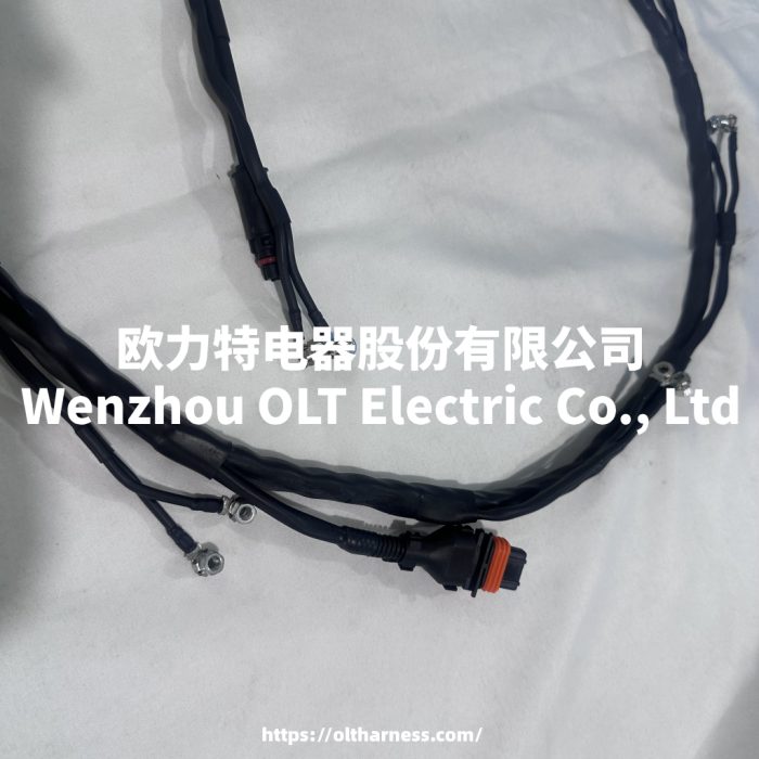 5802924733 Original Iveco Wiring Harness Fuel Injector CURSOR 10 EURO 6 S-WAY - Image 4